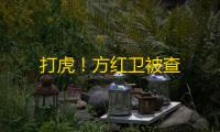 打虎
！方红卫被查