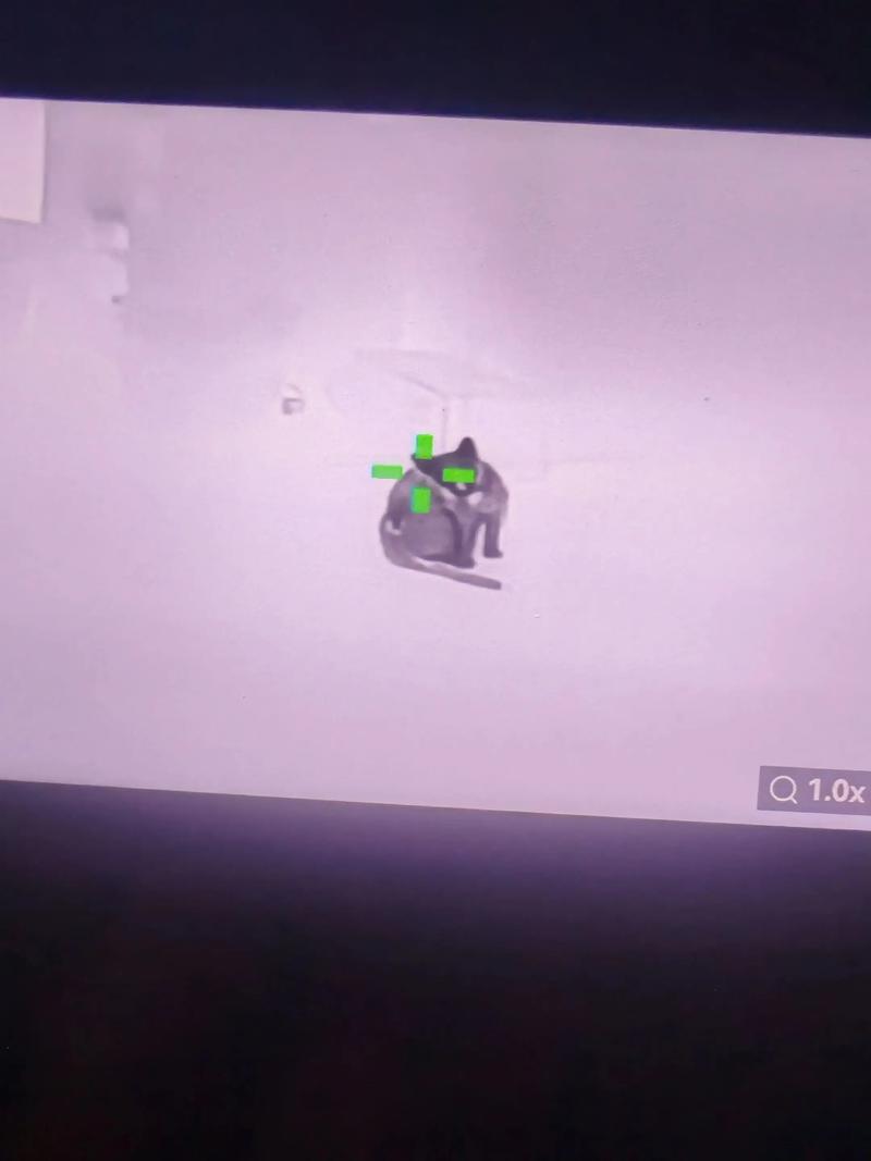 依赖用率今年第三季度